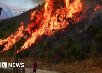 Wildfires rage across southern Europe as temperatures pass 40C