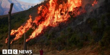 Wildfires rage across southern Europe as temperatures pass 40C