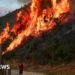 Wildfires rage across southern Europe as temperatures pass 40C