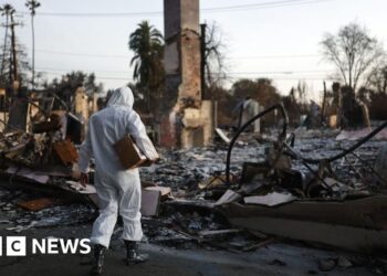More than 400 indirect deaths linked to LA wildfires, study says
