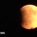 Timelapse shows Blood Moon rising around the world