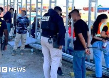 South Koreans detained in ICE raid at Hyundai electric vehicle site in Georgia