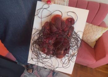 Penn Medicine nurse leans on art as she weaves her way through life, health care