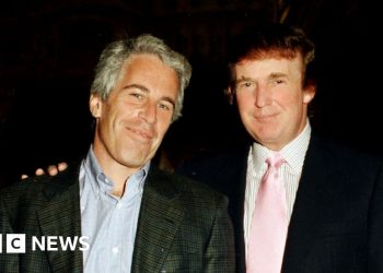 Democrats in Congress release alleged Trump birthday note to Epstein