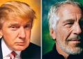 ‘Epstein is rolling in his grave laughing’: Artist reveals why he photographed convicted paedophile – and Donald Trump | US News