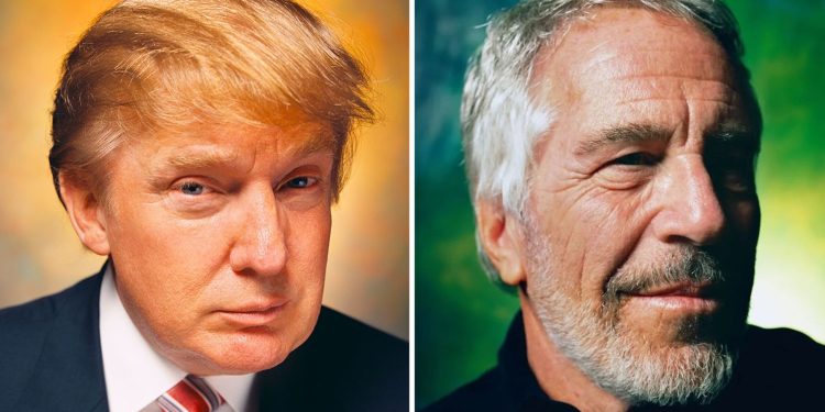 ‘Epstein is rolling in his grave laughing’: Artist reveals why he photographed convicted paedophile – and Donald Trump | US News