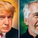 ‘Epstein is rolling in his grave laughing’: Artist reveals why he photographed convicted paedophile – and Donald Trump | US News