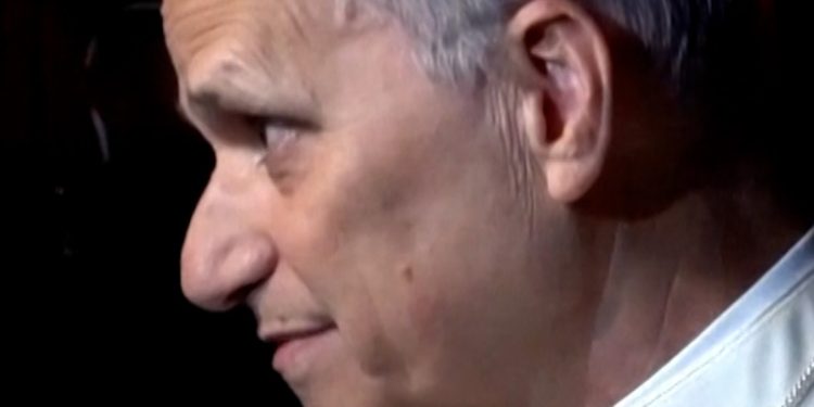 Pope Leo questions what it means to be pro-life