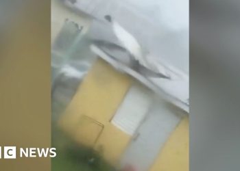 Watch as Hurricane Melissa makes landfall in Jamaica