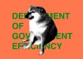 DOGE is no more, and in its wake, only chaos