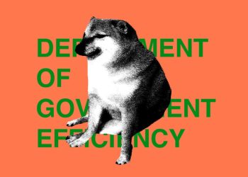 DOGE is no more, and in its wake, only chaos