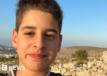 US-Palestinian teen freed after nine months in Israeli jail