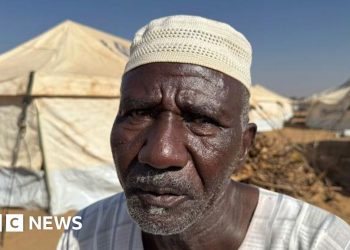 The terrifying escape from el-Fasher in Darfur