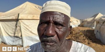 The terrifying escape from el-Fasher in Darfur