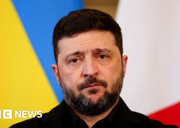 Zelensky says US wants ‘special economic zone’ in Ukraine’s Donetsk region