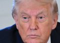 Trump says Denmark should not have claim to Greenland