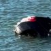 Driver rescued from sinking SUV at Virginia Beach