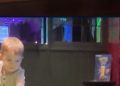 Two-year-old pool player breaks trick shot world record
