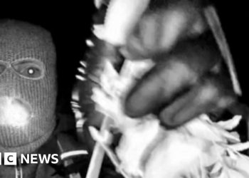 FBI releases images of masked person in hunt for Savannah Guthrie's mother