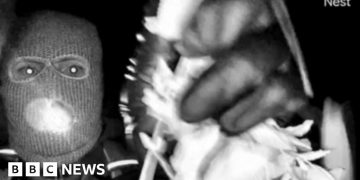 FBI releases images of masked person in hunt for Savannah Guthrie's mother