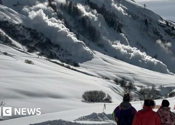 Have there been more this winter?