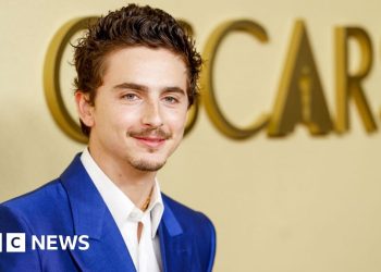 Has Hollywood golden boy Timothée Chalamet lost his shine?
