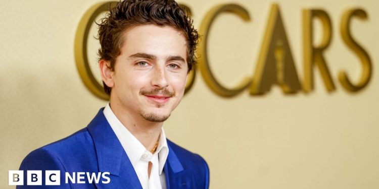 Has Hollywood golden boy Timothée Chalamet lost his shine?