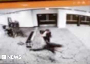 Video shows correspondents’ dinner suspect charge checkpoint