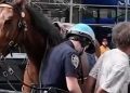 Police officer on horseback chases purse thief in New York