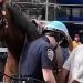 Police officer on horseback chases purse thief in New York