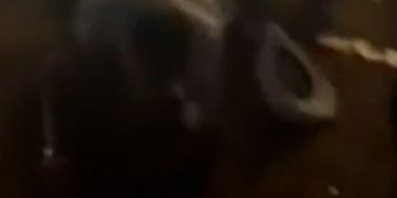 Several injured after stampede at a South Carolina rodeo