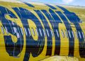 An airline revival plan is going viral