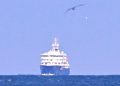 Hantavirus-hit cruise ship Hondius docks in Rotterdam, Netherlands for disinfection