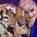 Escaped tiger shot by German police after attacking man