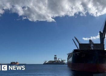 Virus-hit cruise ship arrives in Tenerife as medics await passengers