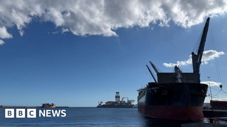 Virus-Hit Cruise Ship Docks in Tenerife Amid Health Concerns