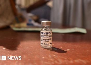 New outbreak of Ebola kills 65 in eastern DR Congo