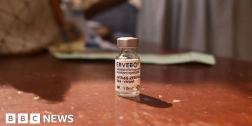 New outbreak of Ebola kills 65 in eastern DR Congo