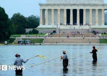 Former Olympian denies vandalising Washington Reflecting Pool after arrest