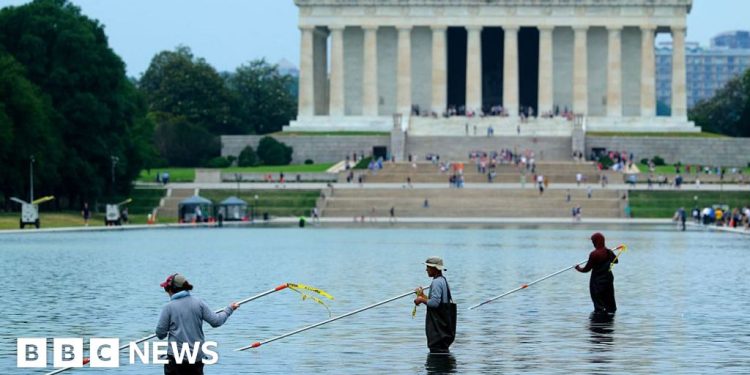 Former Olympian denies vandalising Washington Reflecting Pool after arrest