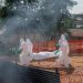 Ebola outbreak still spreading in Congo, and “that means we are missing cases,” WHO says