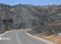 Badly burned British couple rescued from ravine during Spain wildfires