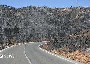 Badly burned British couple rescued from ravine during Spain wildfires