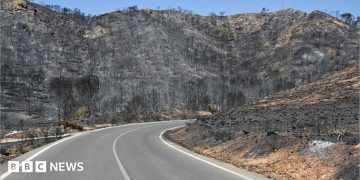Badly burned British couple rescued from ravine during Spain wildfires