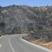Badly burned British couple rescued from ravine during Spain wildfires