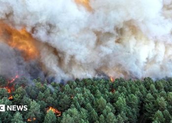 Planes sent to tackle wildfires of ‘exceptional scale’ near Paris