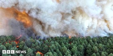 Planes sent to tackle wildfires of ‘exceptional scale’ near Paris