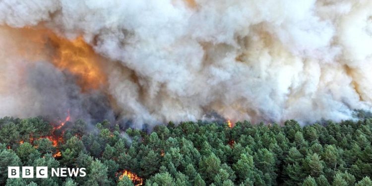 Planes sent to tackle wildfires of ‘exceptional scale’ near Paris