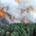 Planes sent to tackle wildfires of ‘exceptional scale’ near Paris