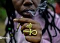 Kenyan court dismisses Rastafarians’ bid to legalise cannabis